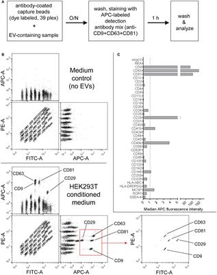 Systematic Methodological Evaluation of a Multiplex Bead-Based Flow Cytometry Assay for Detection of Extracellular Vesicle Surface Signatures